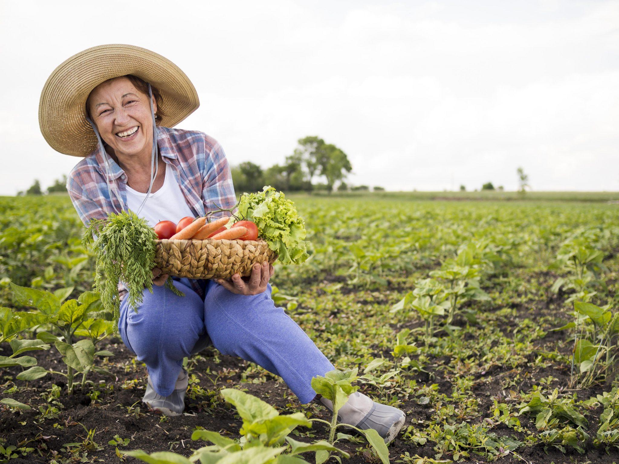 mulher agricultora segurando uma cesta com legumes ao fundo uma plantação